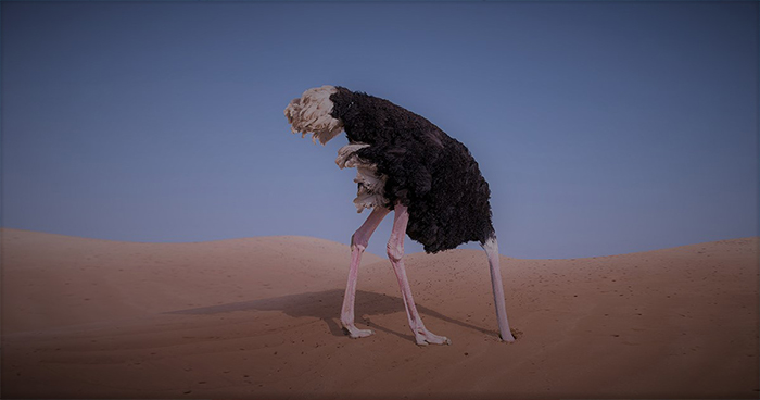 Cybersecurity Denial and Cure