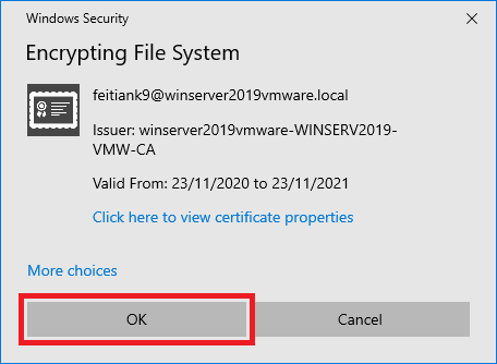 Windows Security