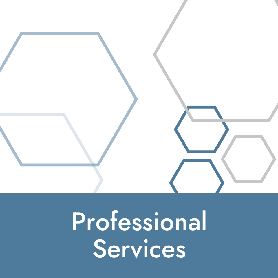 Professional Services